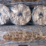 Wood Briquettes