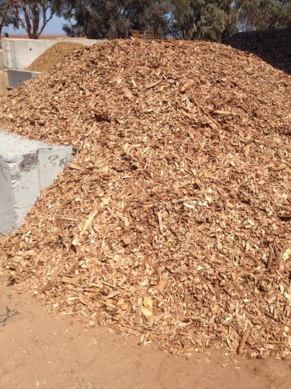 Pine Wood Chips